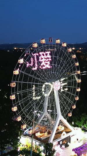 武汉东湖之眼摩天轮夜景竖屏航拍视频的预览图