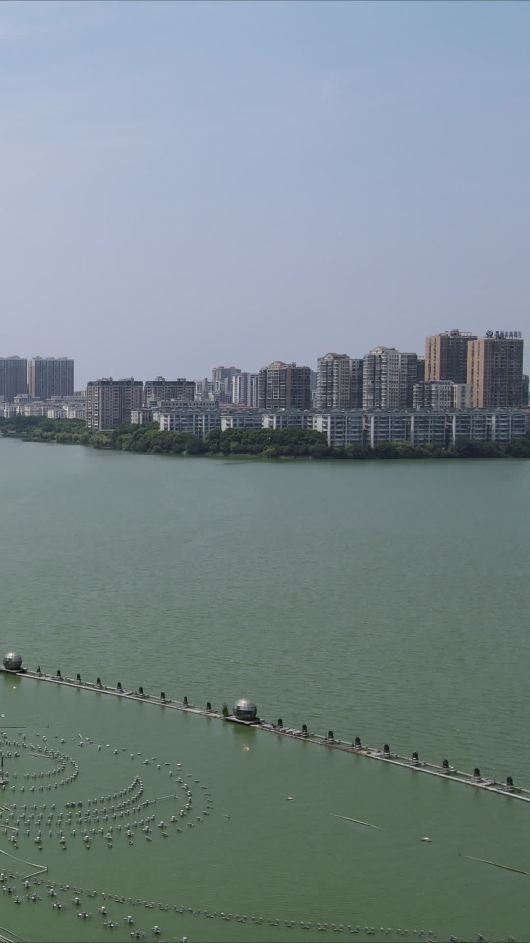 湖北鄂州洋澜湖风光竖屏航拍视频的预览图