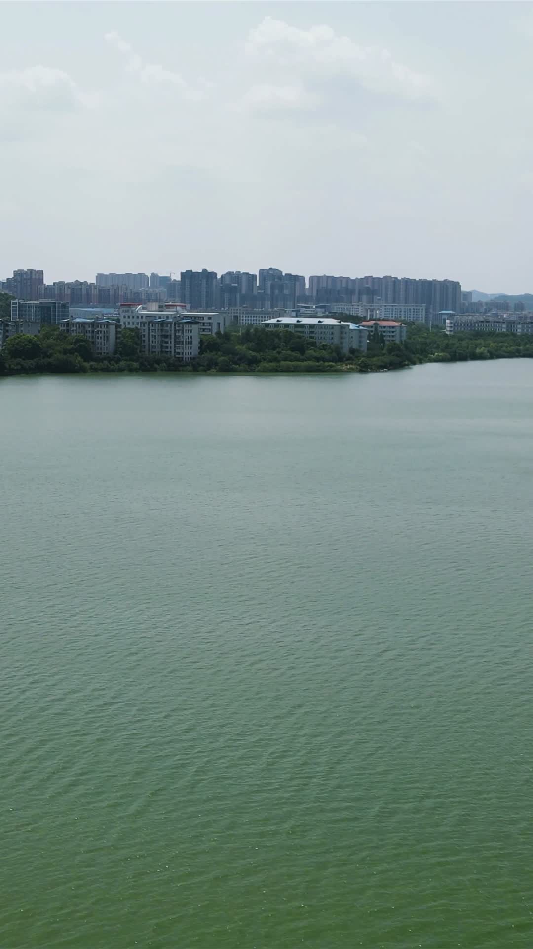 湖北鄂州洋澜湖风光竖屏航拍视频的预览图