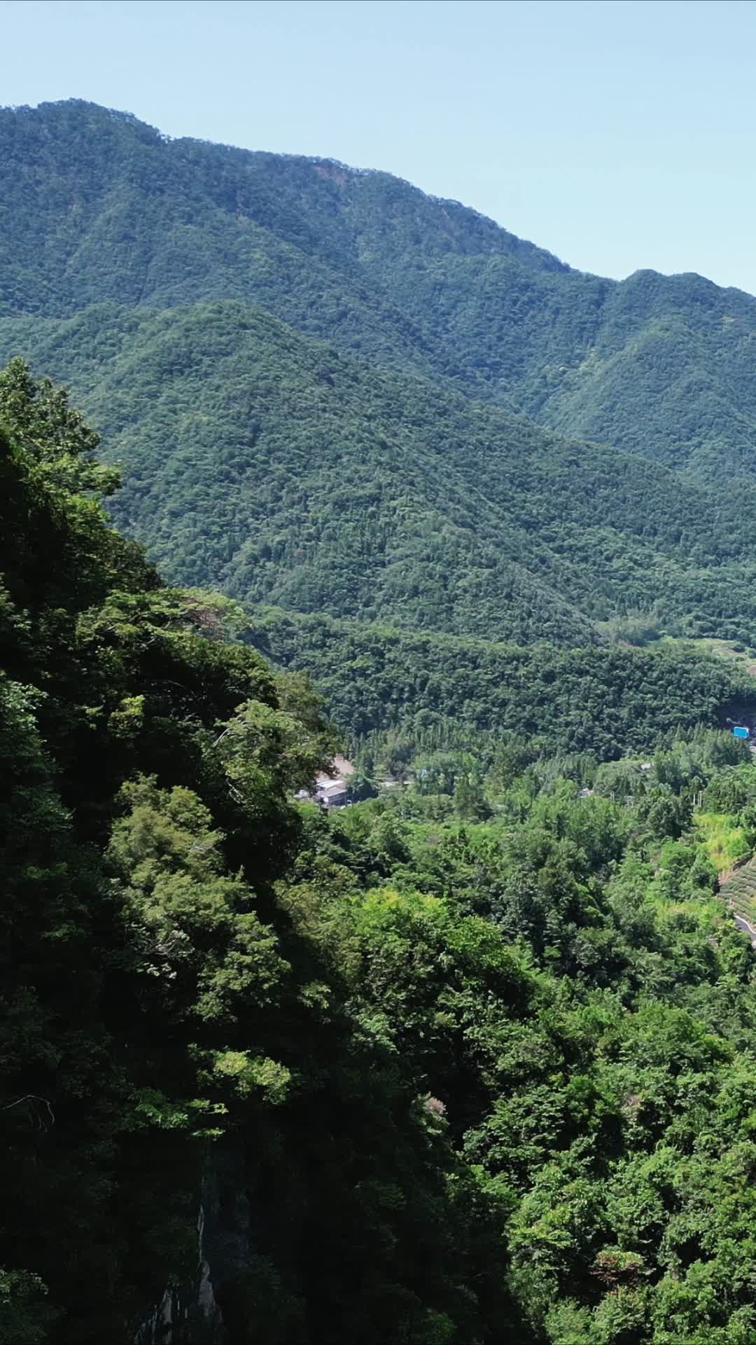 航拍大山山谷绿色植物视频的预览图