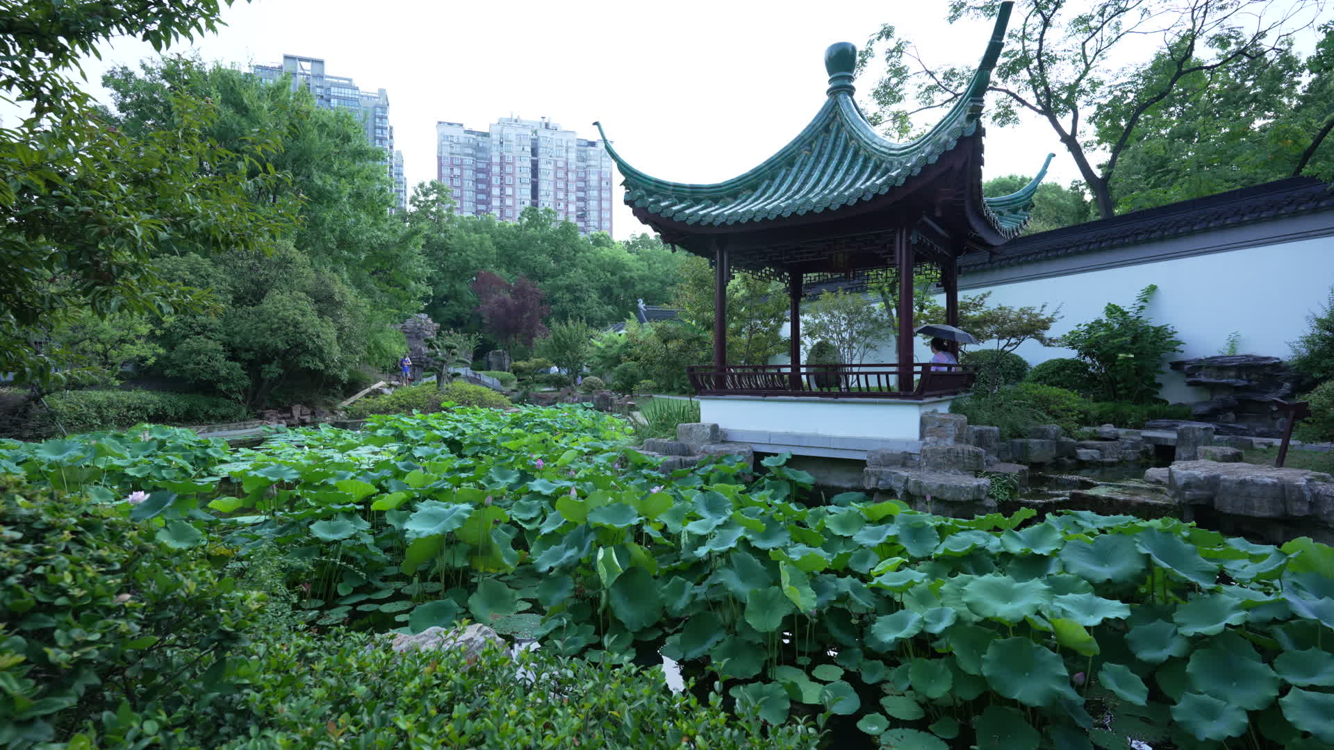 武汉江岸区解放公园视频的预览图