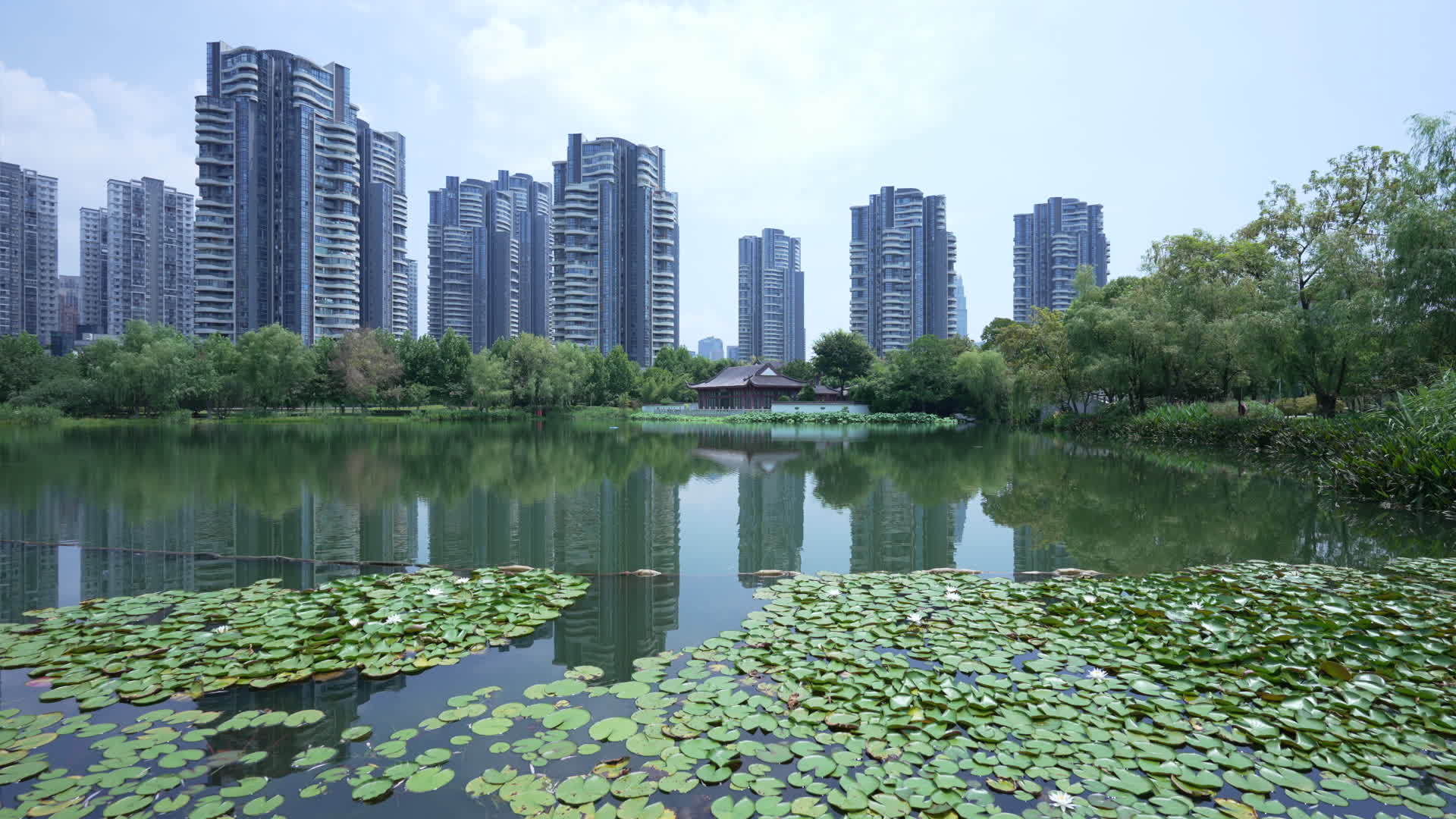 武汉武昌区沙湖公园4K视频视频的预览图