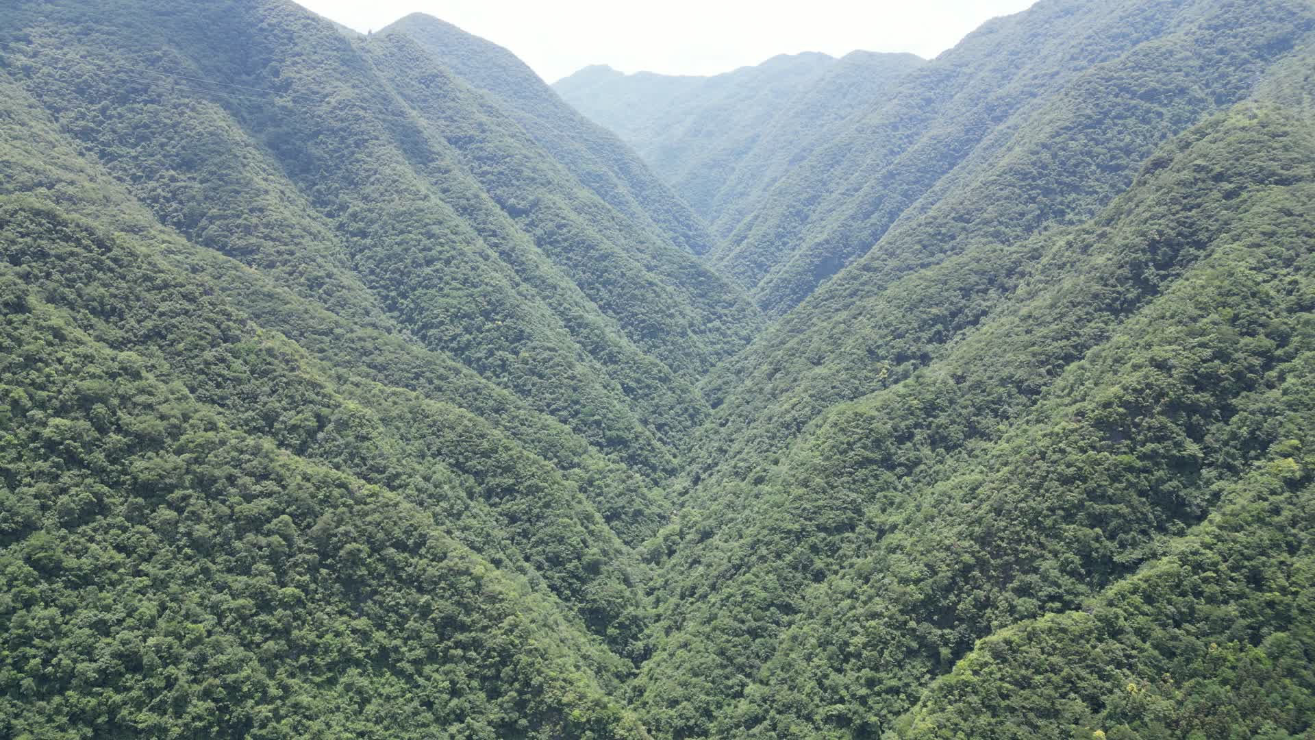 航拍深山大峡谷森林植物视频的预览图