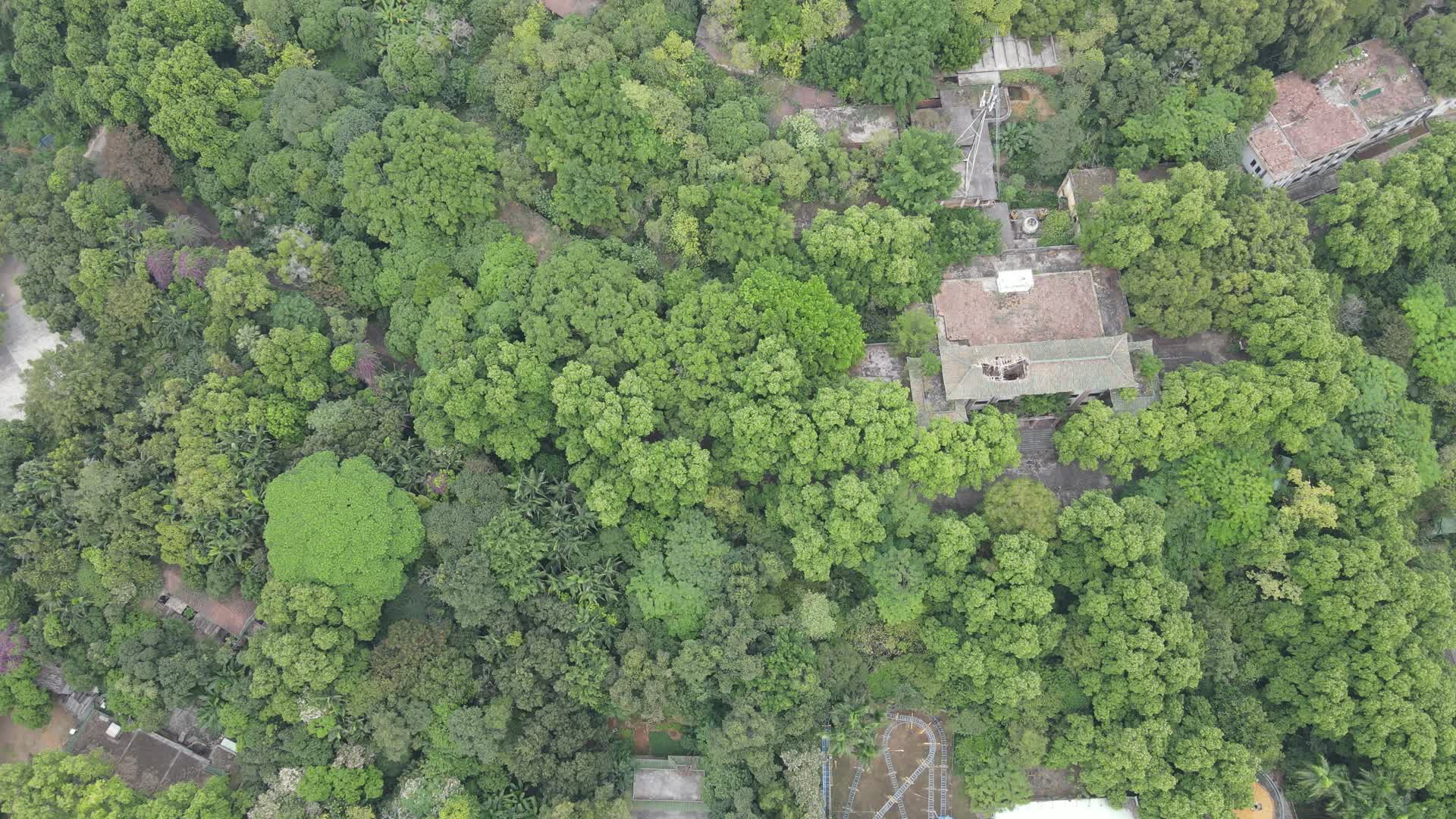 航拍广州龙华森林视频的预览图