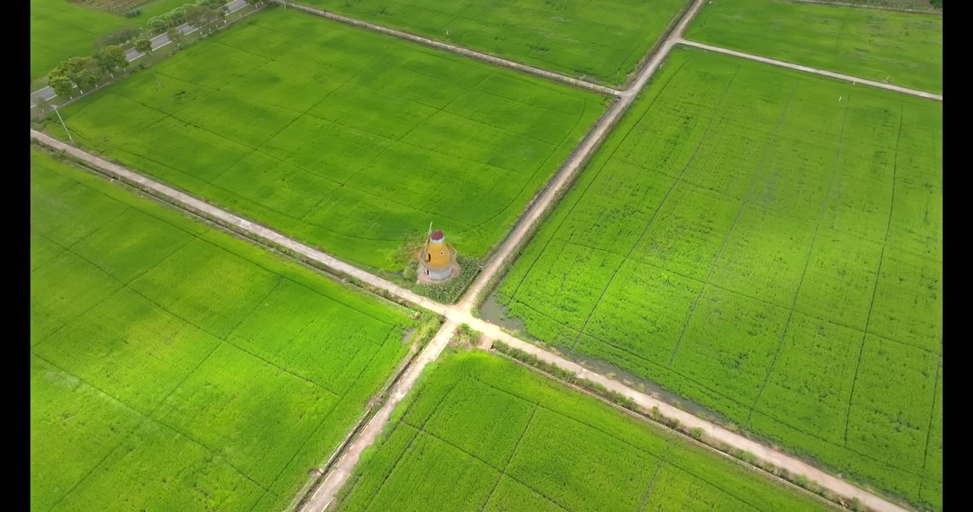 4K高清航拍成都七彩田园麦田风车自然风光视频的预览图