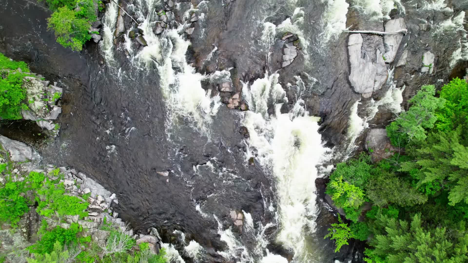 森林河谷河流溪水航拍视频的预览图