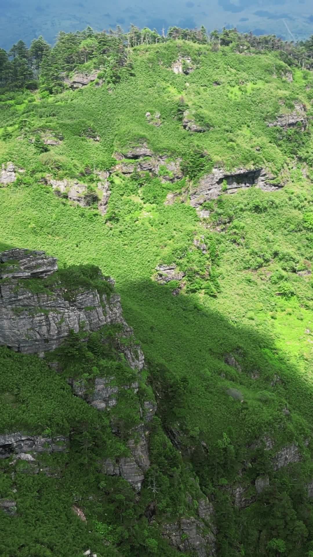 湖北神农架5A景区竖屏航拍视频的预览图