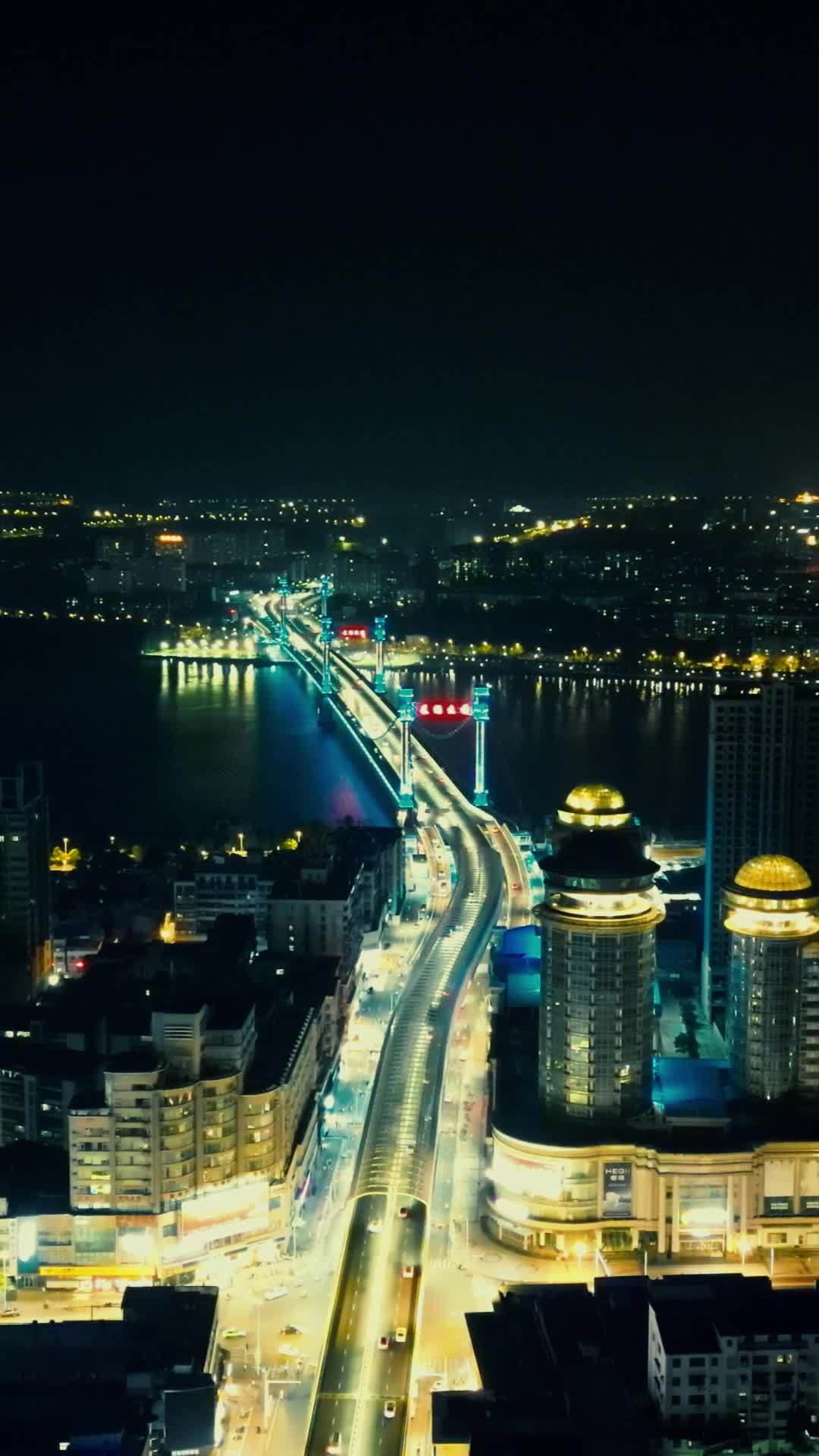 湖北襄阳城市夜景灯光竖屏航拍视频的预览图