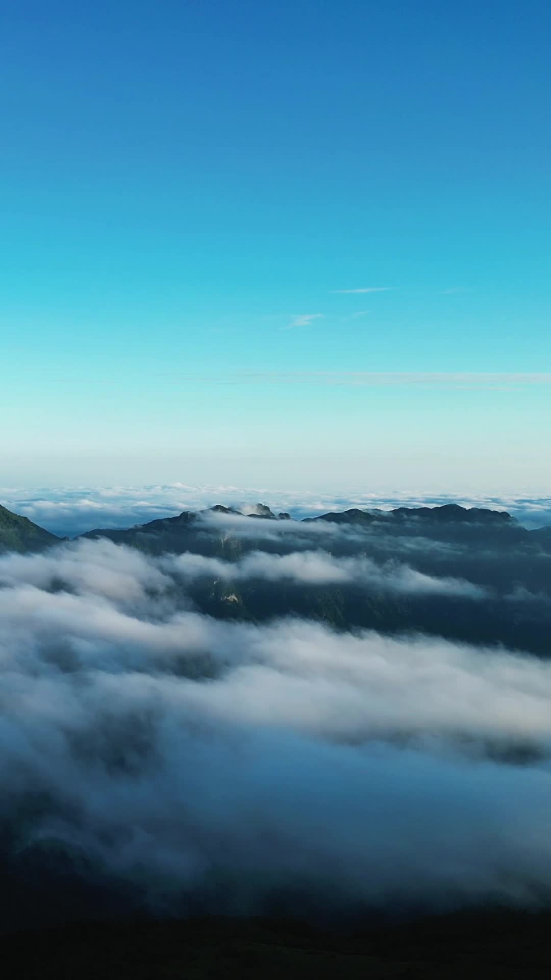 航拍大自然高山云海湖北神农架风景区视频的预览图