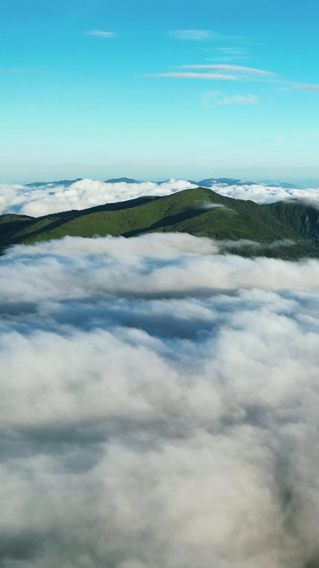 航拍大自然高山云海湖北神农架风景区视频的预览图