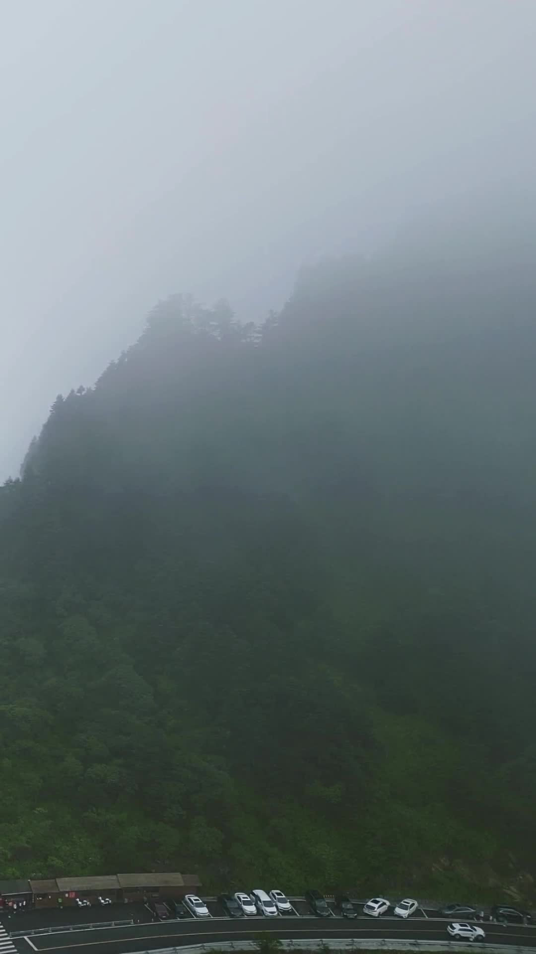 航拍湖北神农架5A景区神农谷云雾缭绕视频的预览图