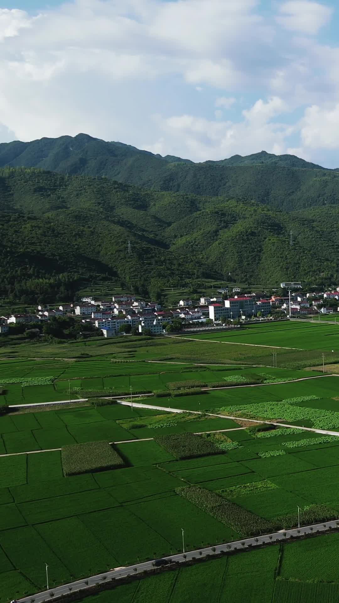 航拍美丽乡村田园农业种植基地竖屏视频的预览图