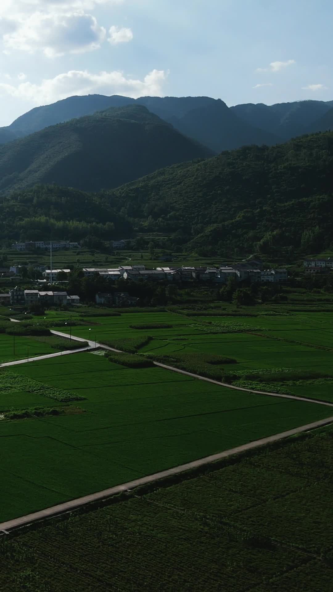 航拍美丽乡村田园农业种植基地竖屏视频的预览图