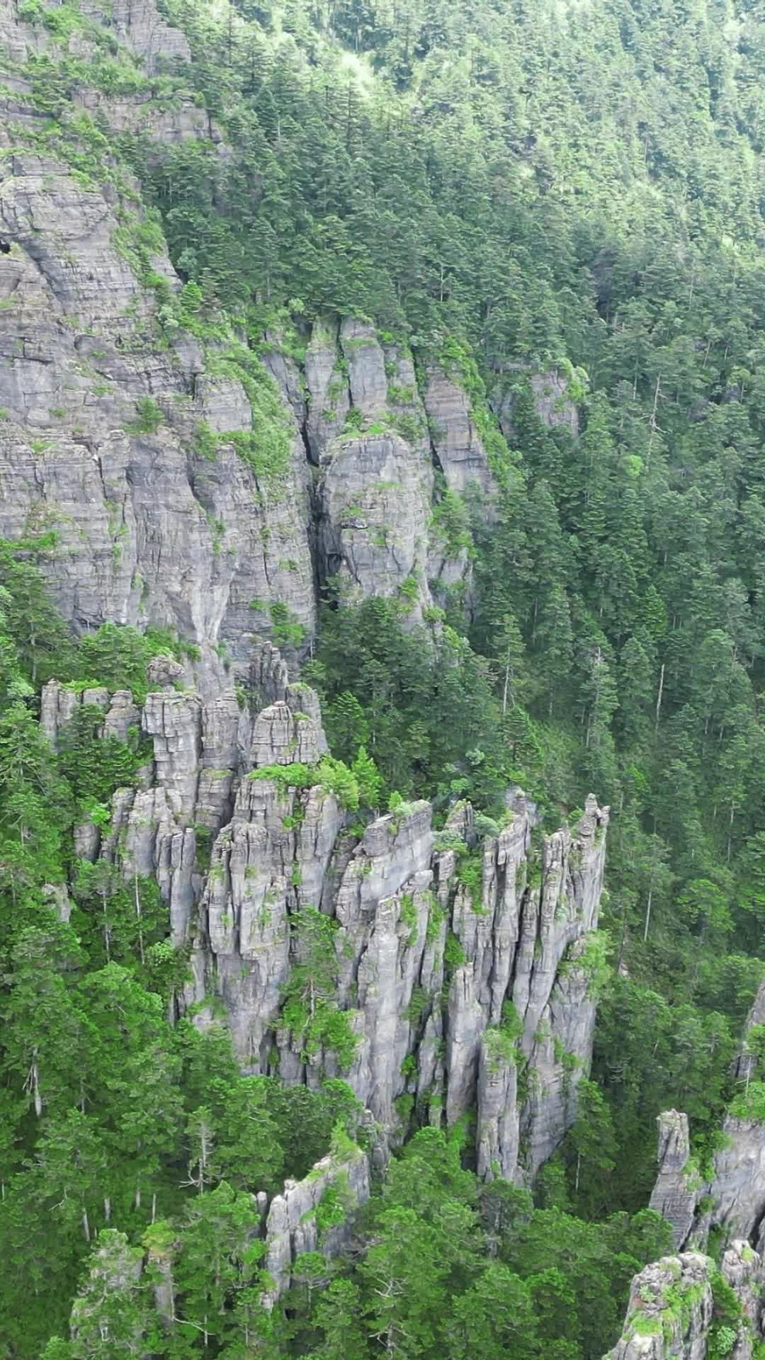 航拍湖北神农架景区神农谷悬岩峭壁视频的预览图