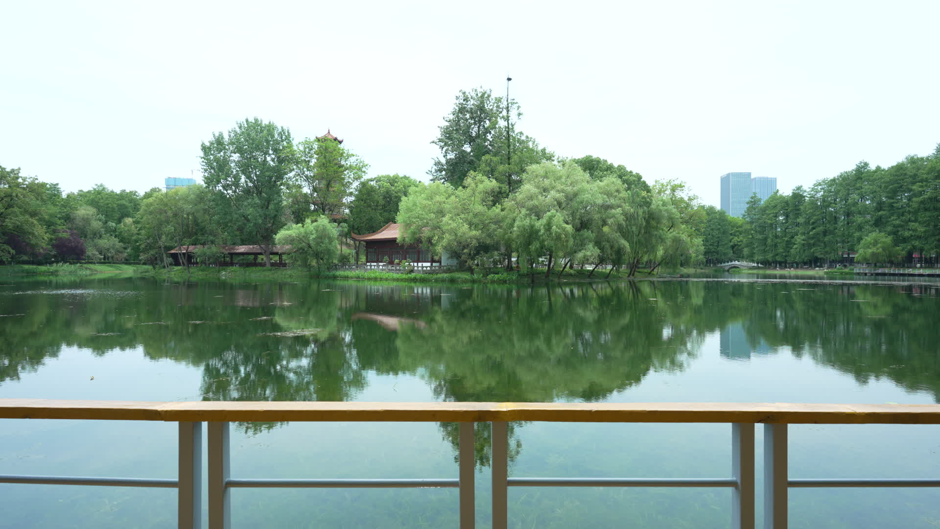 武汉江岸区解放公园4K视频的预览图