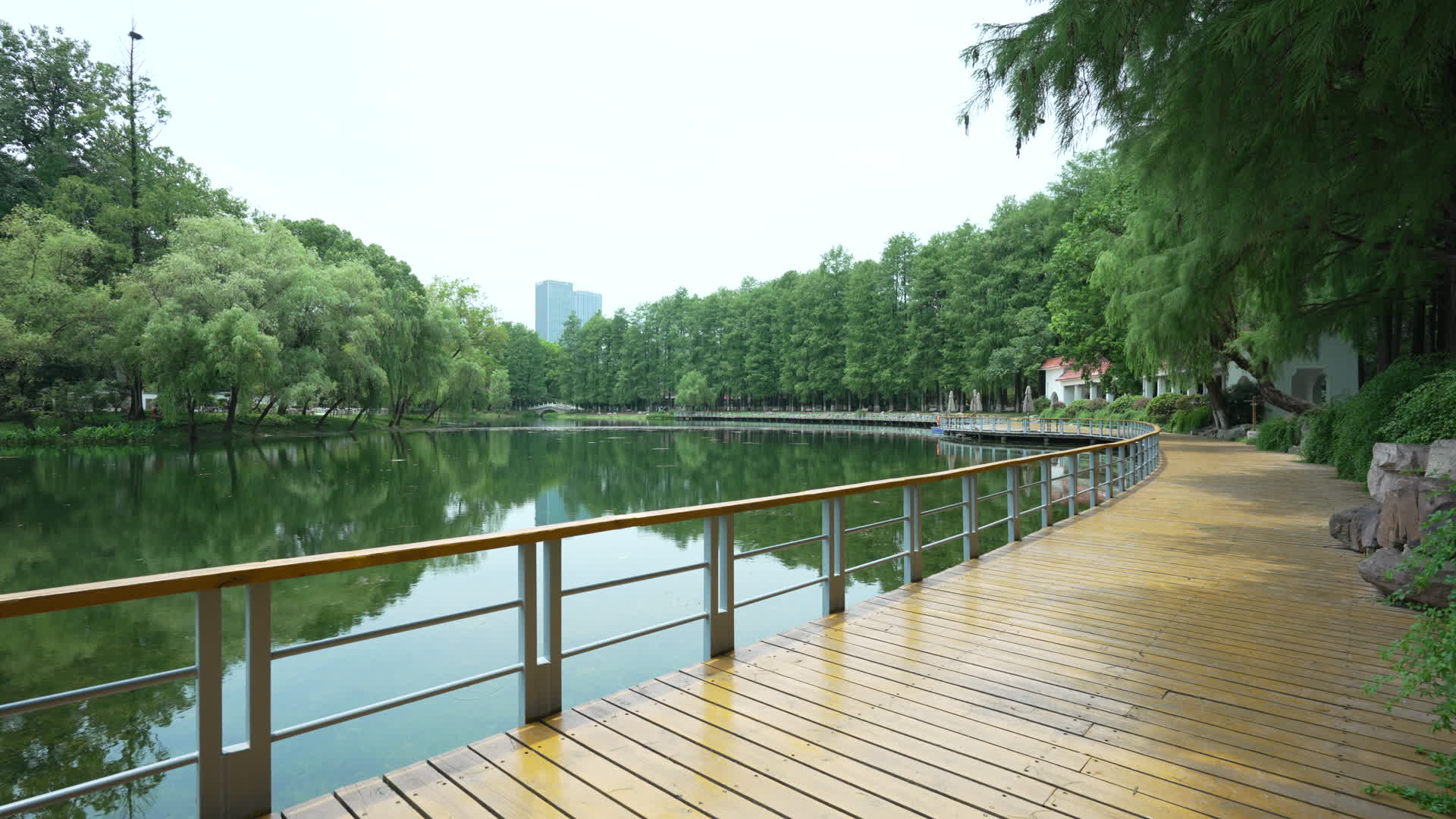武汉江岸区解放公园4K视频的预览图