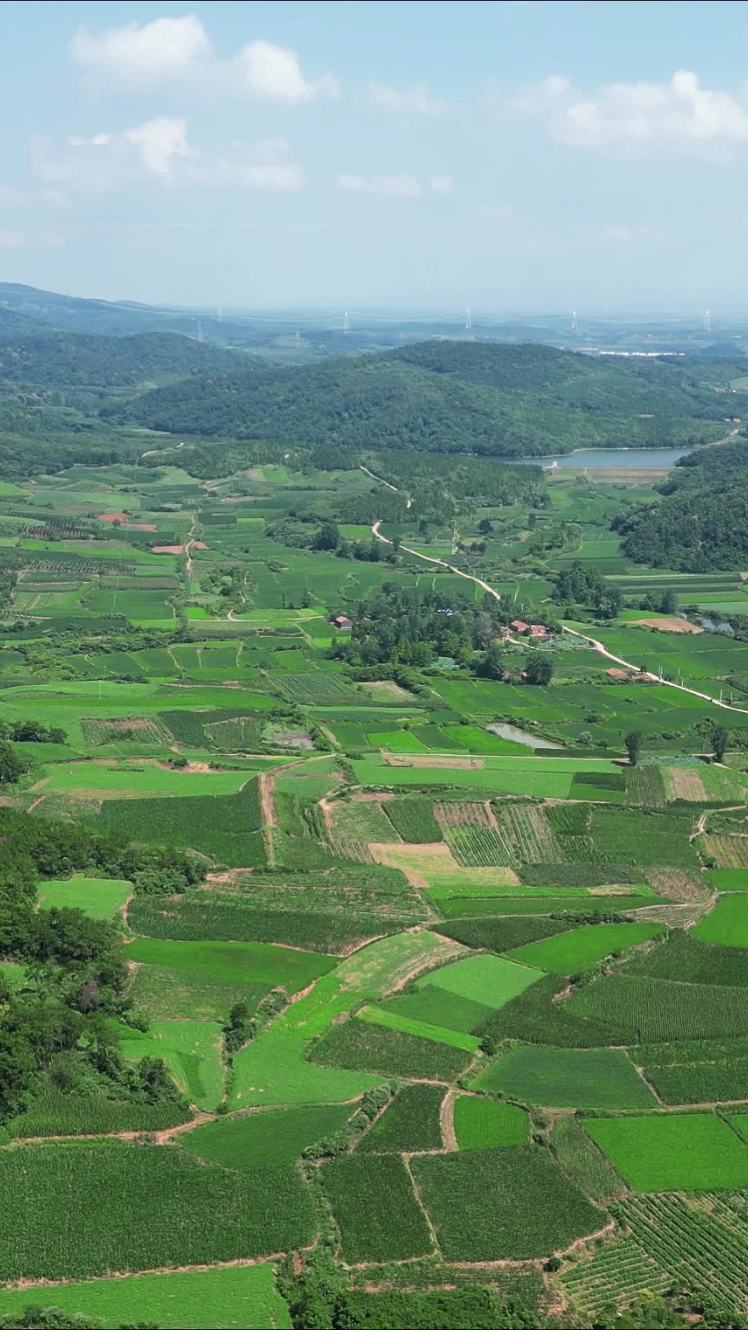 航拍美丽乡村农业农田视频的预览图