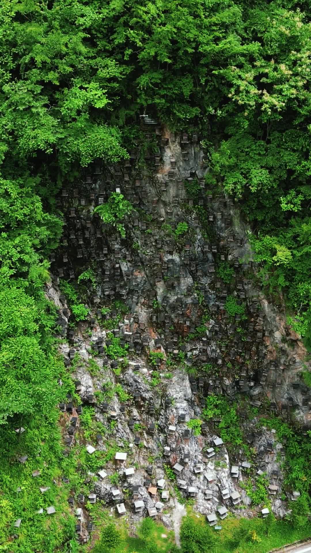 航拍湖北神农架官门山景区悬崖蜂箱视频的预览图