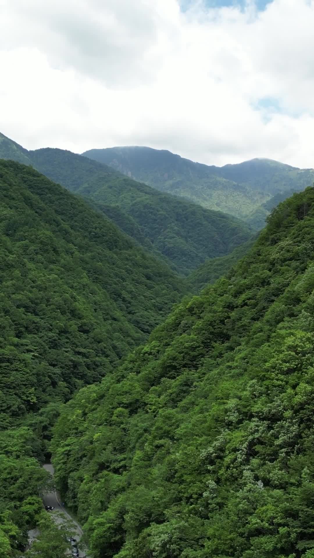 航拍湖北神农架官门山景区视频的预览图