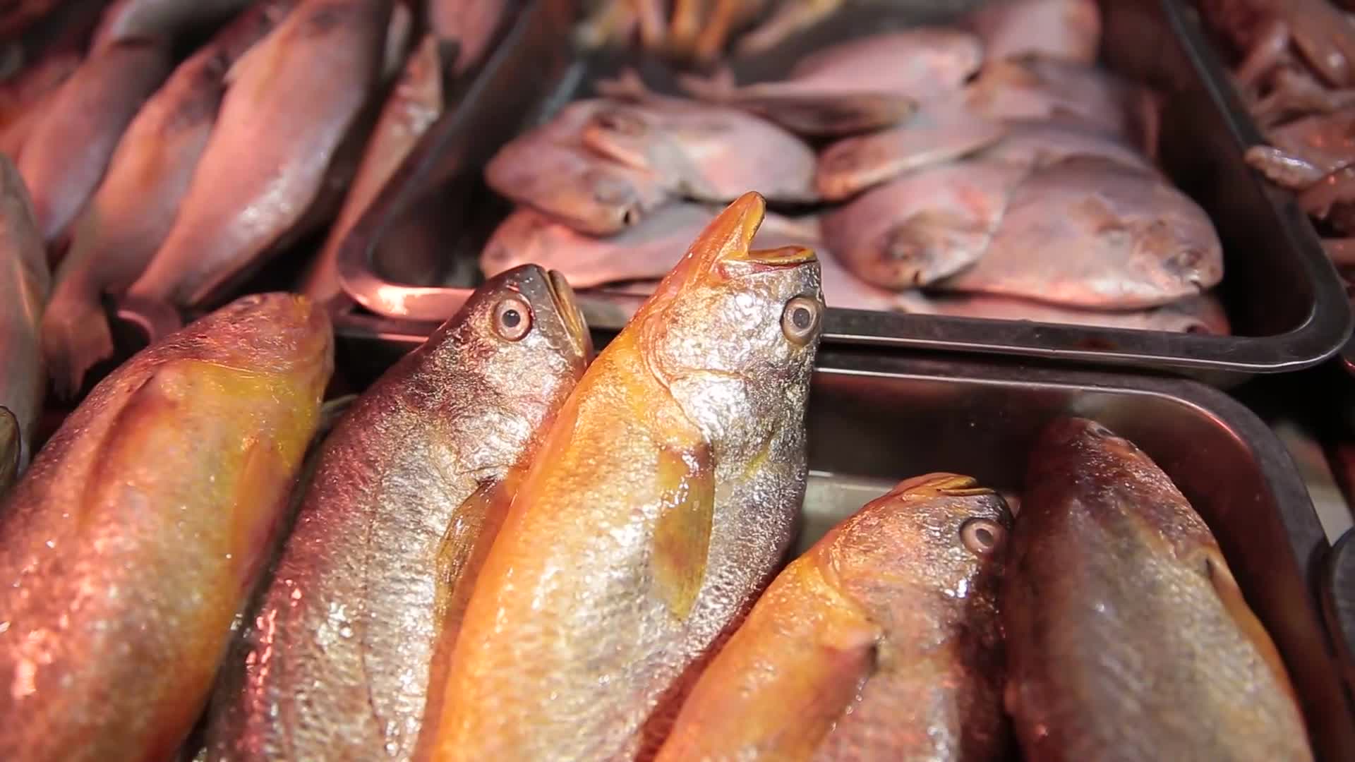 镜头合集超市水产市场买鱼视频的预览图