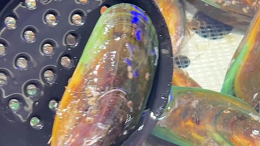 镜头合集海虹贝壳蛤蜊小海鲜甲壳自助餐视频的预览图
