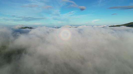 航拍清晨云海日出湖北神农架视频的预览图