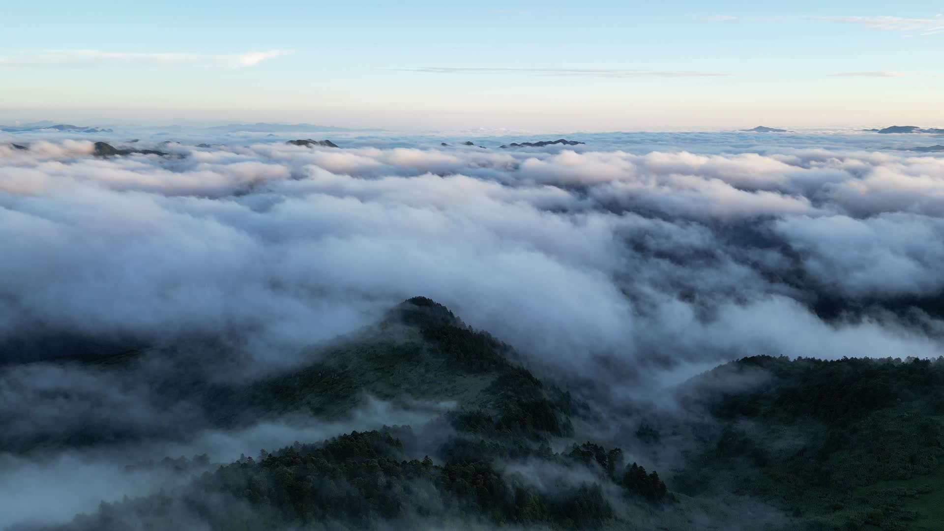 航拍清晨云海日出湖北神农架视频的预览图