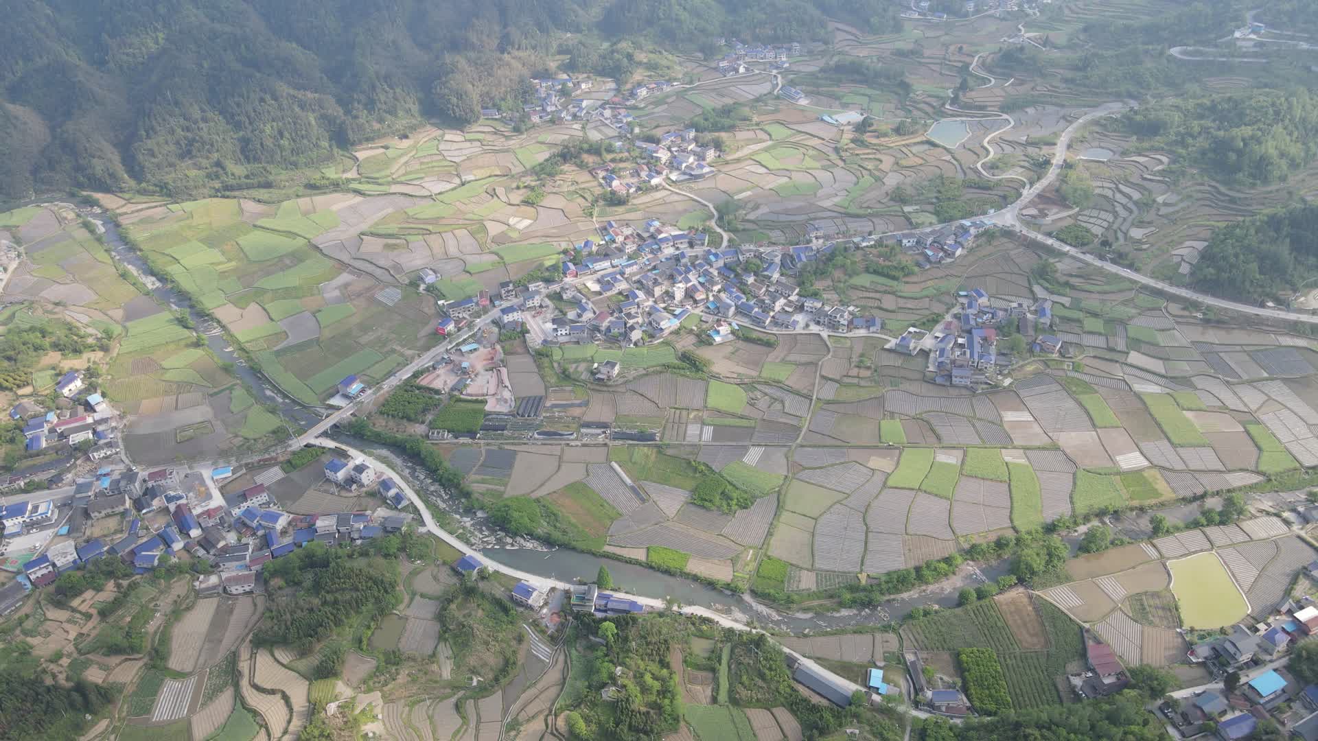航拍美丽乡村稻田视频的预览图