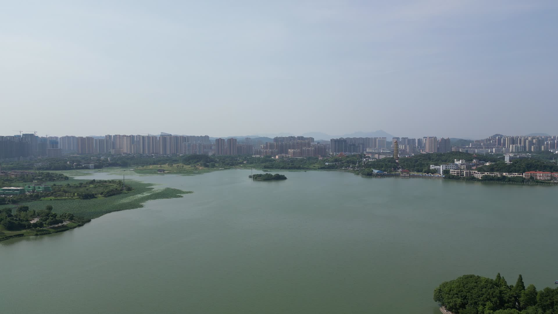 航拍湖北鄂州东洋澜湖湿地公园视频的预览图
