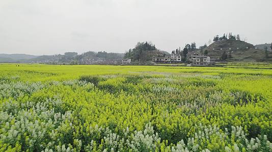 贵州风光自然风景视频的预览图