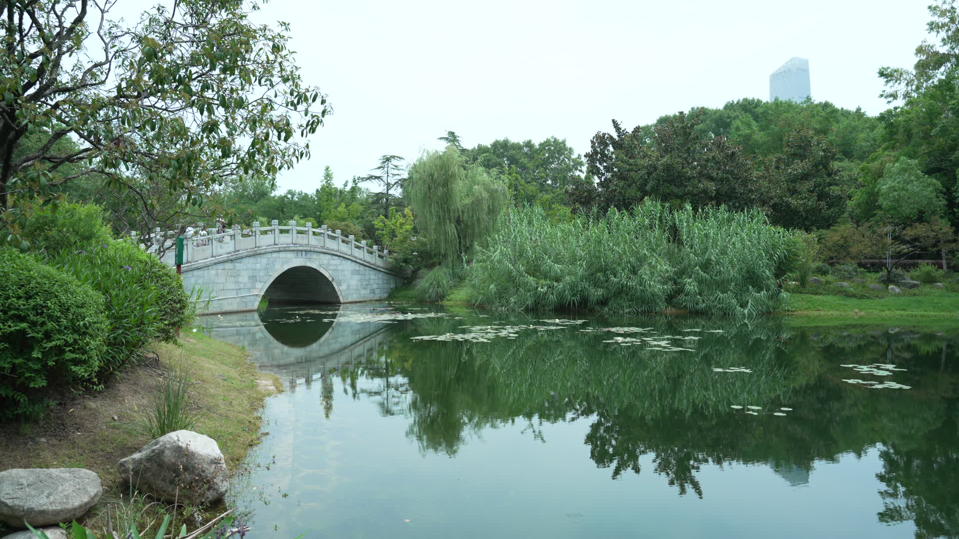 武汉江岸区解放公园视频视频的预览图