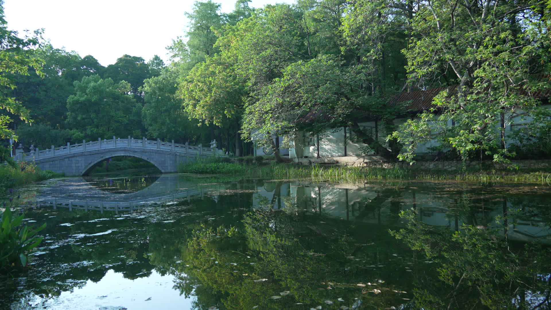 武汉江岸区解放公园视频视频的预览图