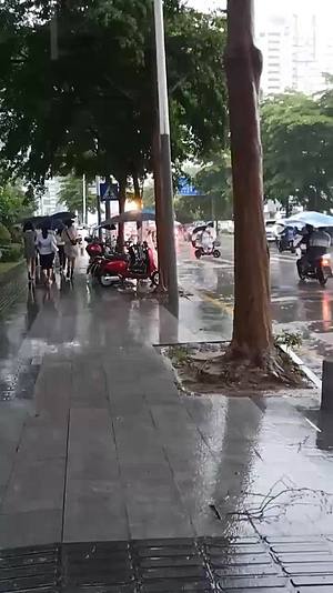 雨季街景视频的预览图