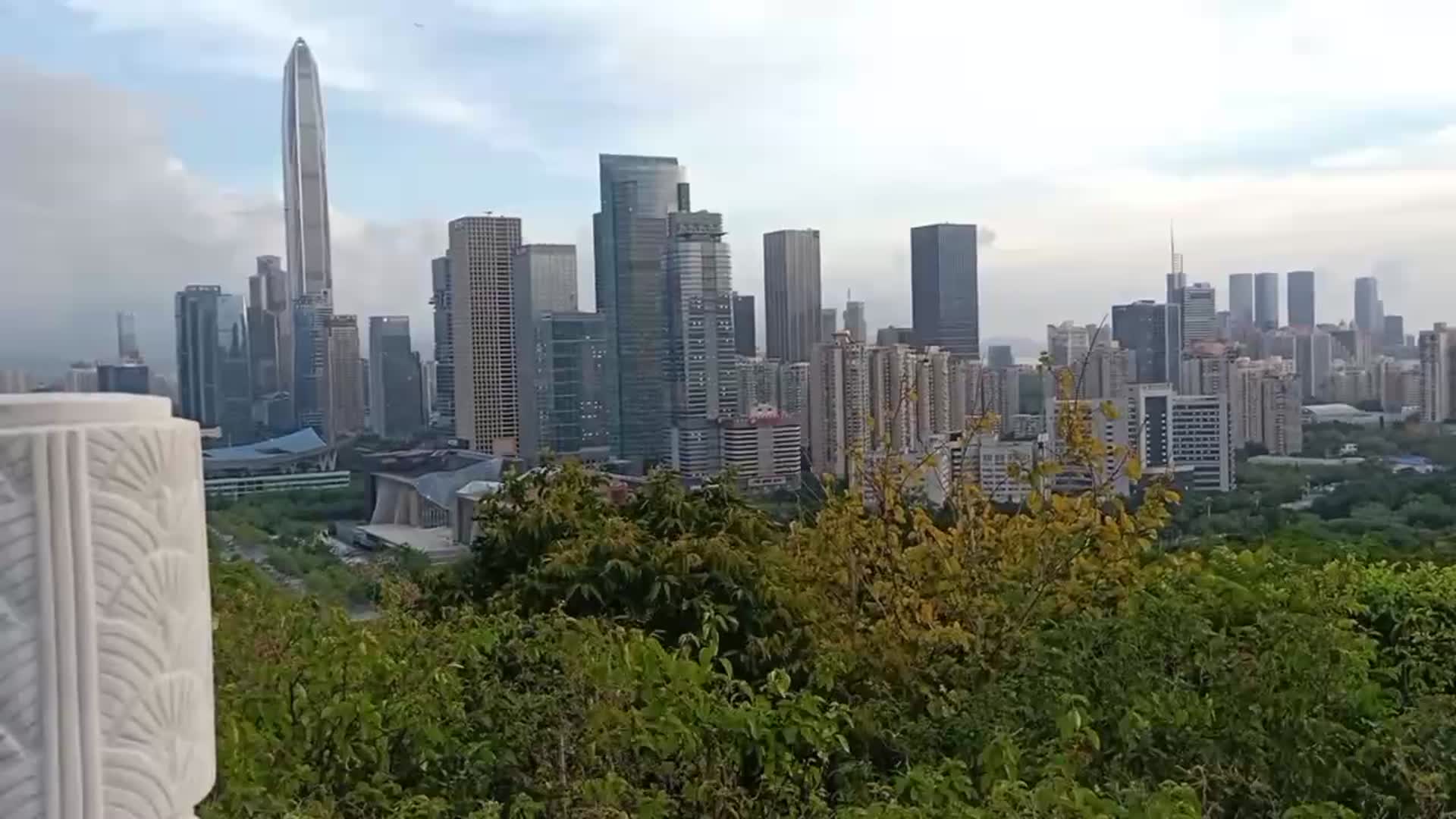 深圳莲花山风景视频的预览图