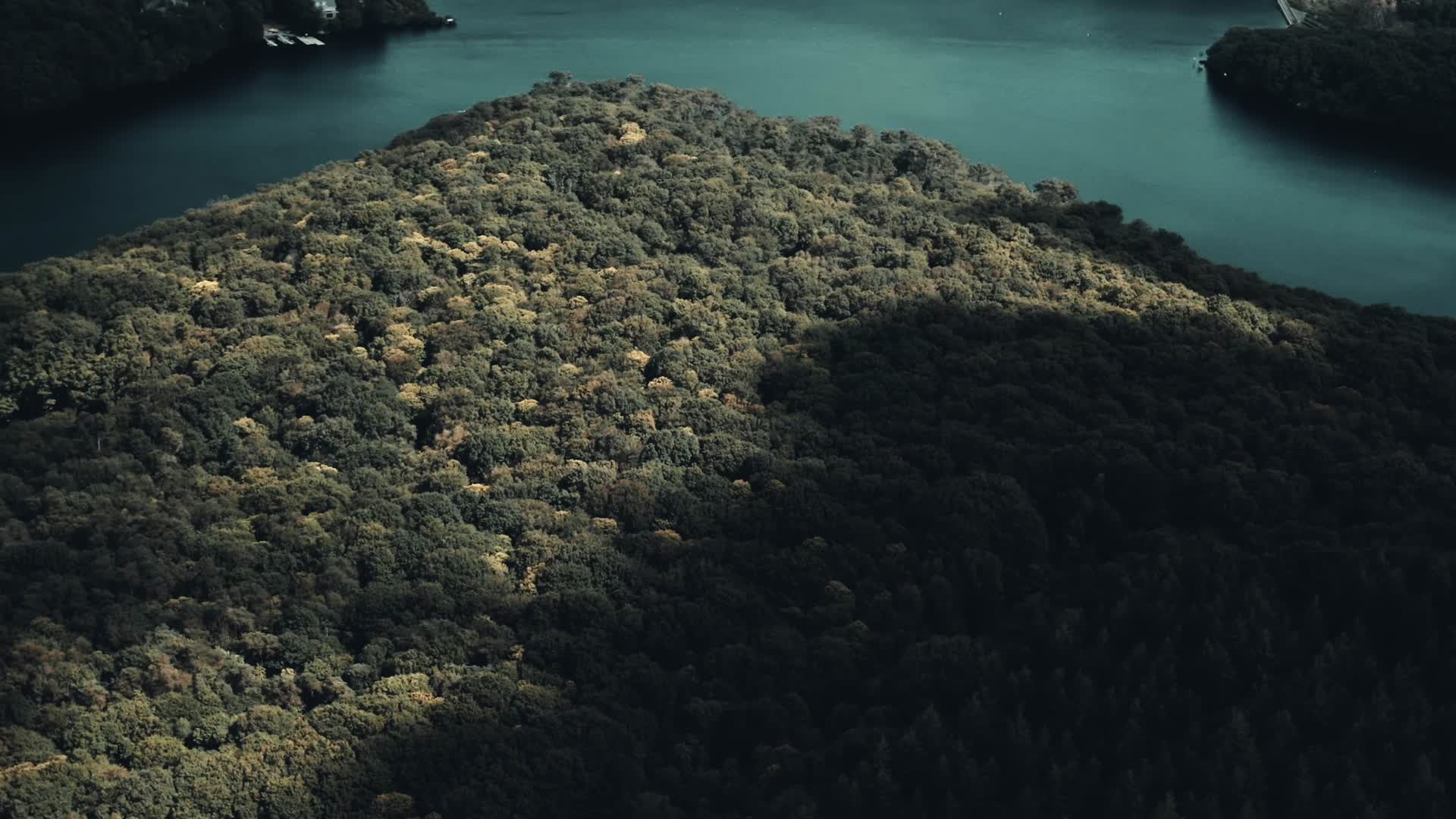 森林湖泊调色航拍合集视频的预览图