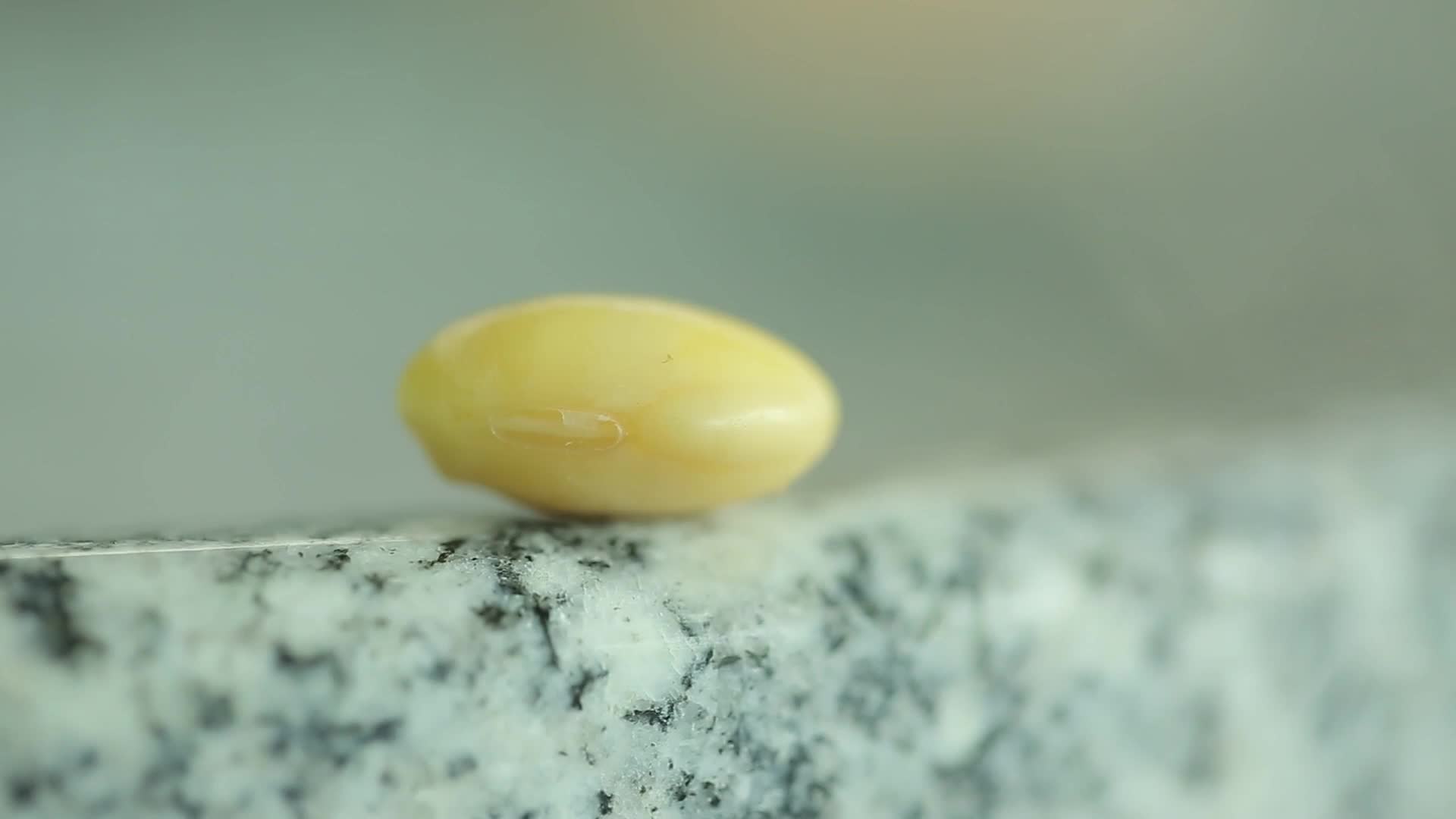 镜头合集泡发的黄豆视频的预览图