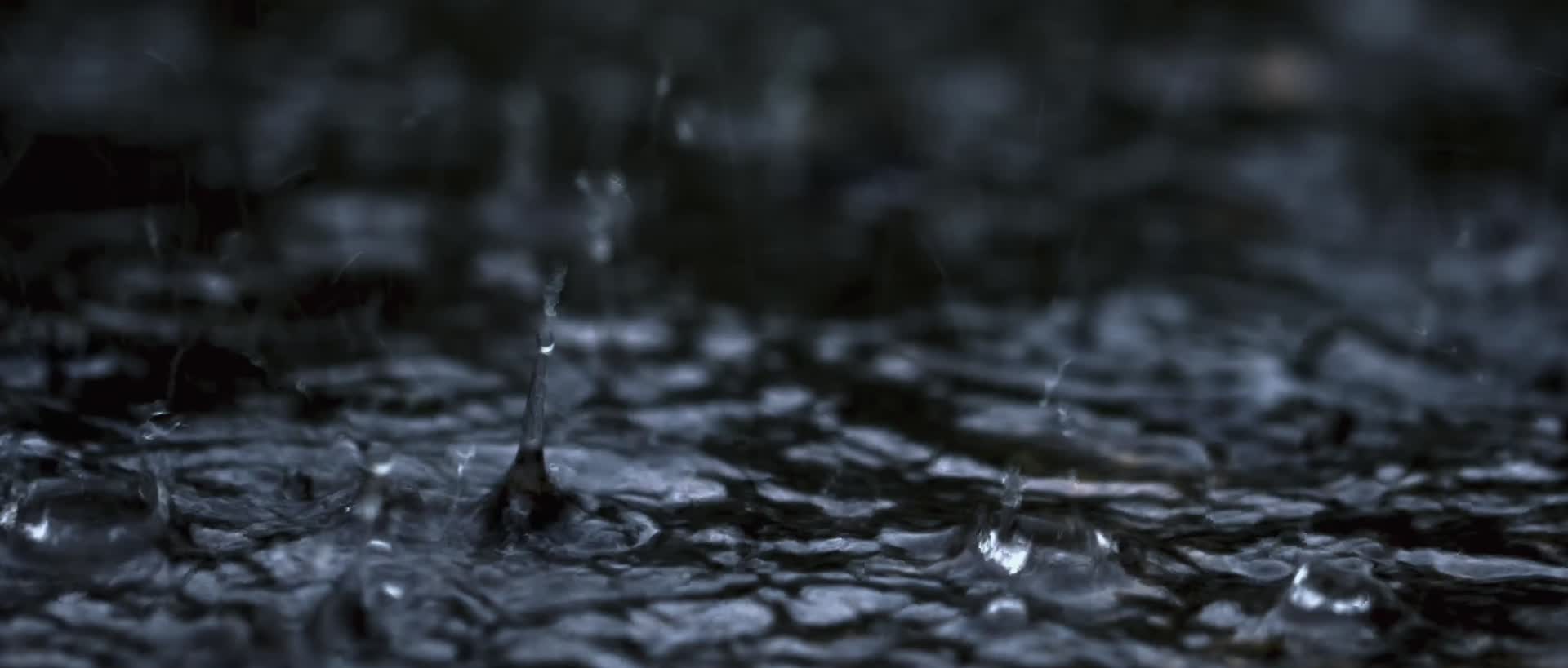 雨水滴落唯美慢镜头视频的预览图