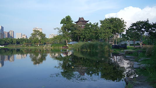 武汉武昌区紫阳公园视频视频的预览图