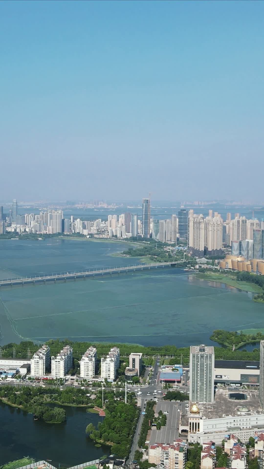 航拍湖北武汉沙湖片区高楼建筑竖屏视频的预览图