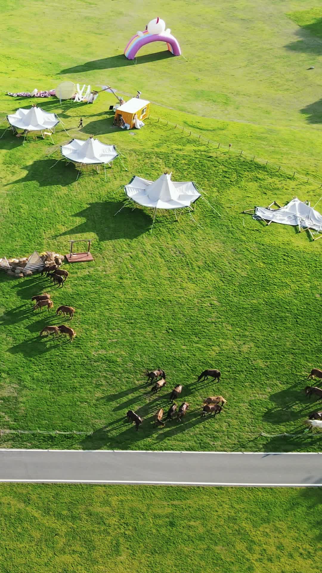 航拍草原露营基地武汉木兰草原5A景区视频的预览图