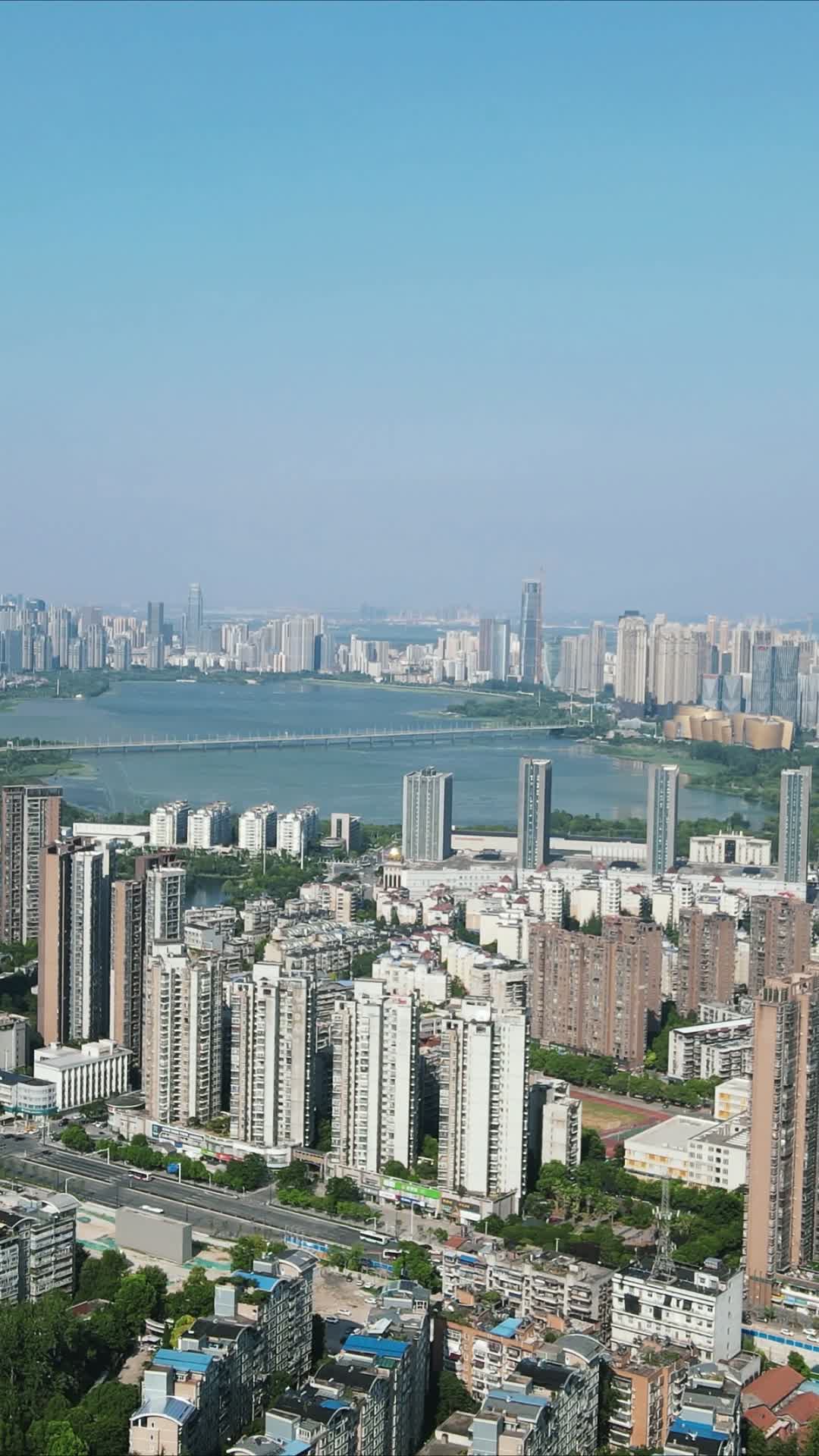 航拍湖北武汉沙湖片区高楼建筑竖屏视频的预览图