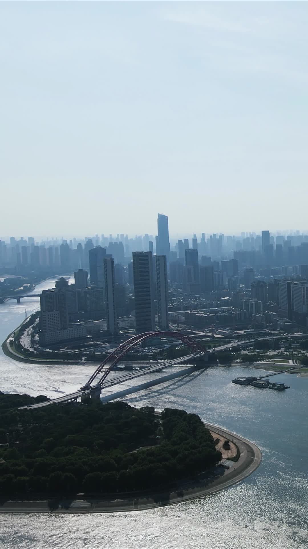 航拍湖北武汉城市风光竖屏视频的预览图