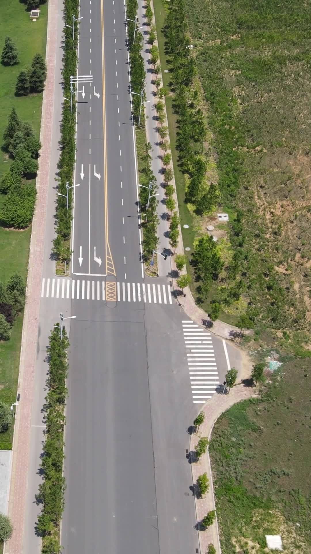 航拍城市交通大道绿化带视频的预览图
