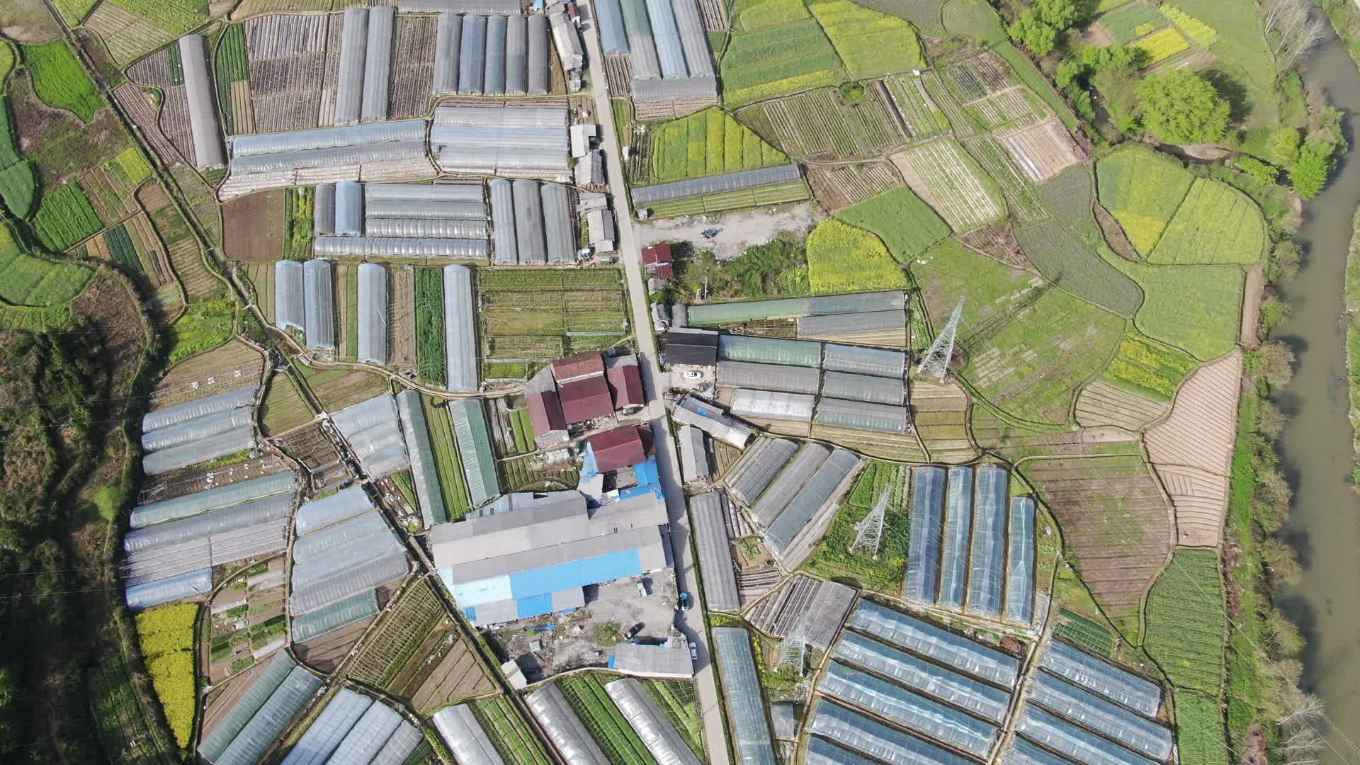 航拍农业种植大棚农业发展视频的预览图