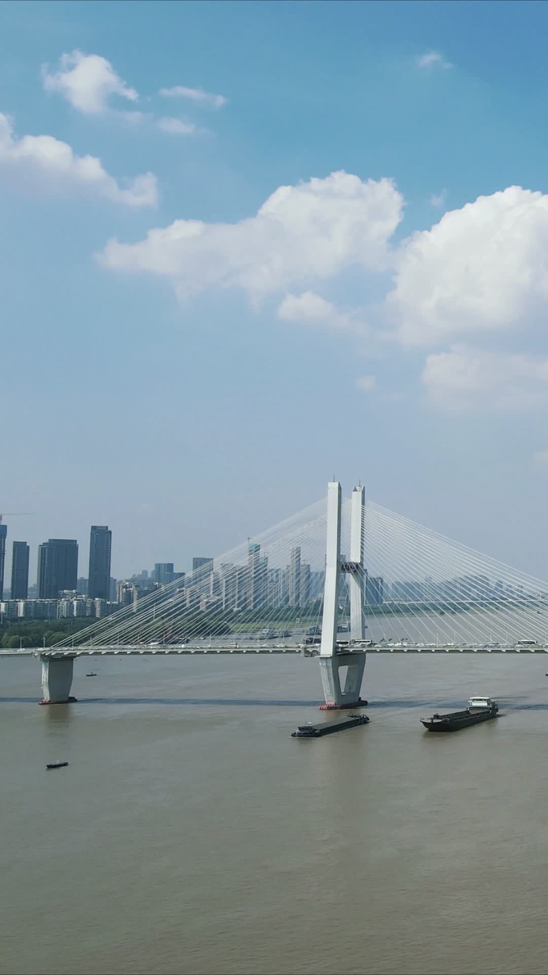 航拍武汉长江二桥交通竖屏视频的预览图