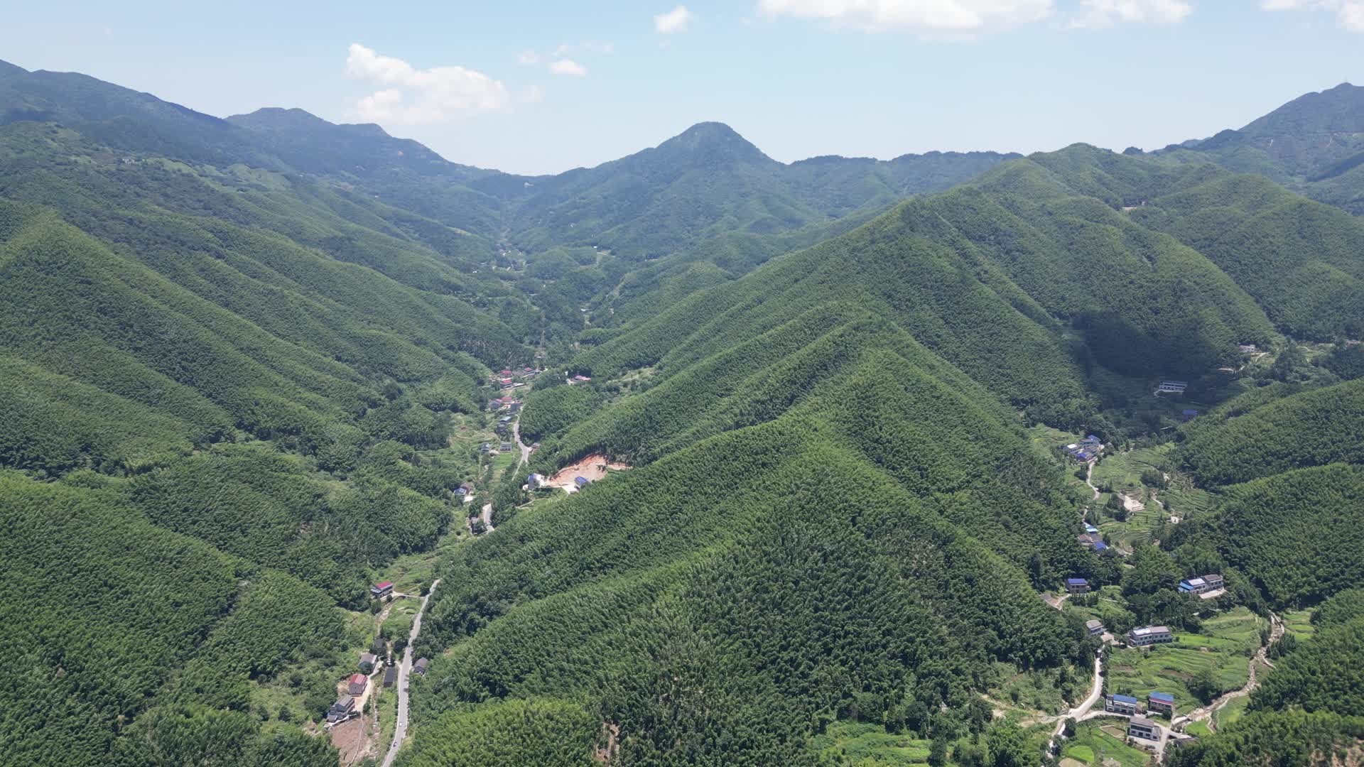 航拍南岳衡山5A景区竹林视频的预览图