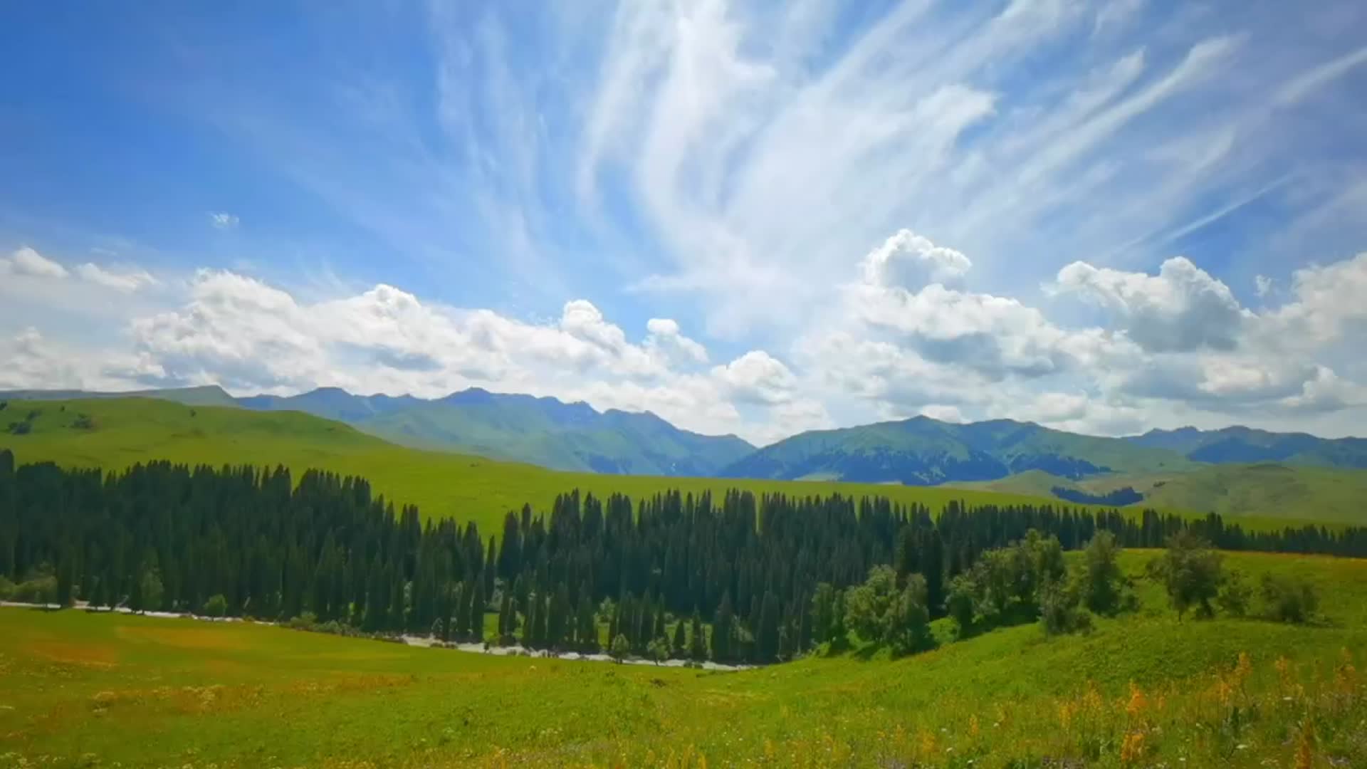 新疆伊犁唐布拉草原视频的预览图