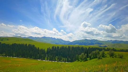 新疆伊犁唐布拉草原视频的预览图