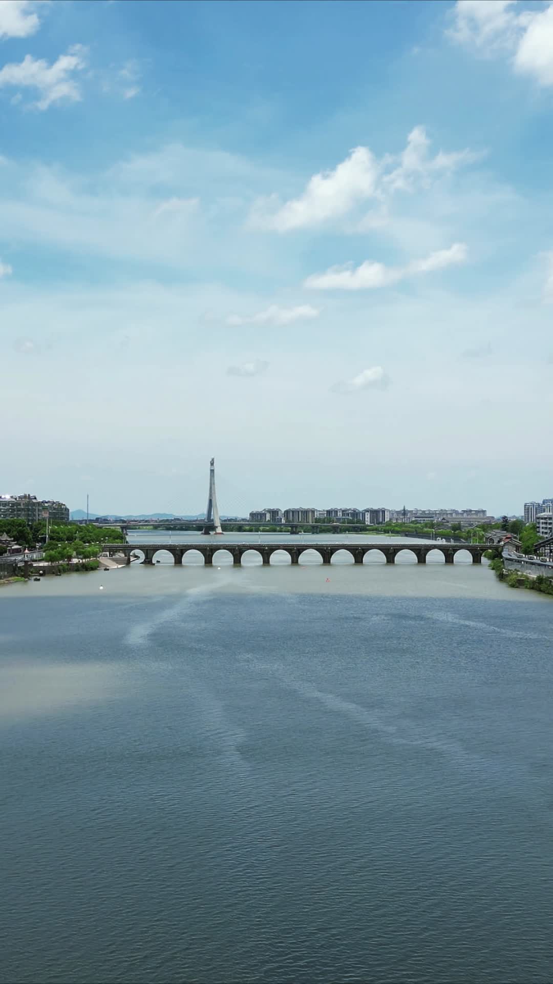航拍江西抚州抚河桥梁交通竖屏视频的预览图