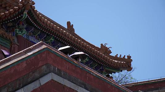 游客参观中国古建筑琉璃瓦明清视频的预览图